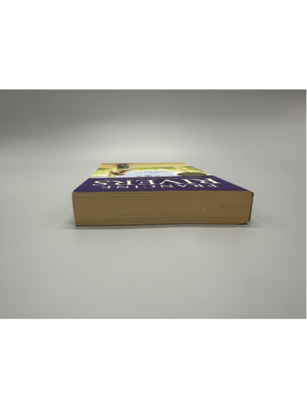 Francine Rivers The Atonement Child Trade Paperback Novel 1999 Tyndale - Picture 4 of 6